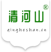 武漢小榕樹科技